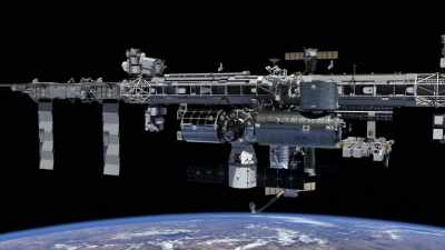 LISA THOMAS: THE
BEAM HAS BEEN UP ON THE - Origins: The Journey of Humankind