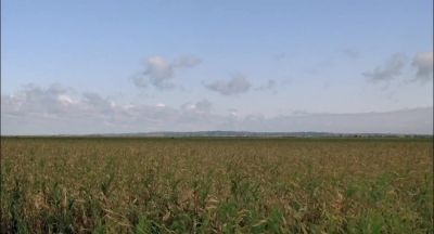 Listen could you take us to Isaac - Children of the Corn