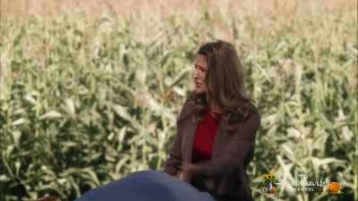 Listen, David, we've gotta
scout for a ceremony location - A Harvest Wedding