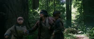 Listen for the birds. - Bird Box