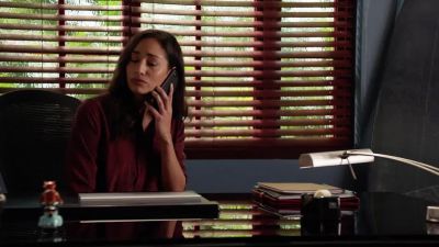 Listen, I'm sorry, we're just... - Hawaii Five-O