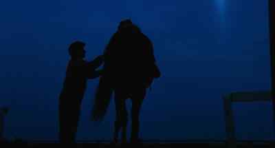 Listen to me.
We'll make this a real easy workout. - The Black Stallion
