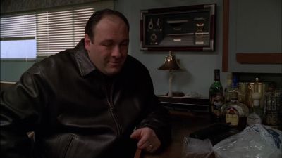 Listen, that phone call,
it was an old girlfriend. - The Sopranos
