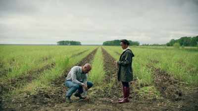 Listen, - Queen Sugar