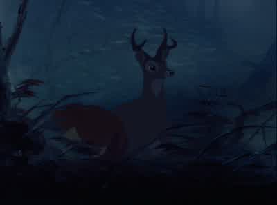 Listen. - Bambi