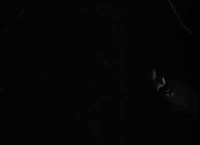 Listen. - The Blair Witch Project