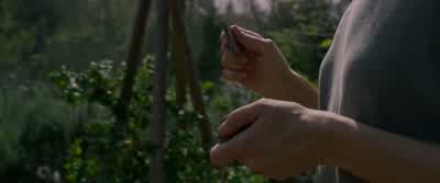 Listen to the clicks. - Bird Box