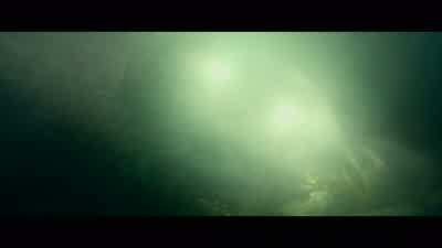 Listen to me. - Terminator: Dark Fate