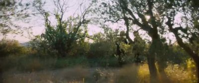 Listen Vincent the time is coming - At Eternity's Gate