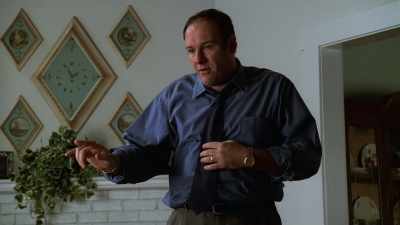 Listen, before you do
any more serious damage - Wise Guy: David Chase and The Sopranos