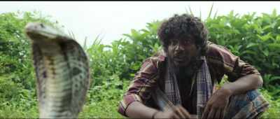 Listen, you'd better stay
away from humans. - Jai Bhim