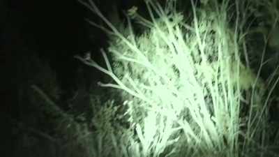 Literally going to let
the Lidar be my eyes. - Expedition Bigfoot
