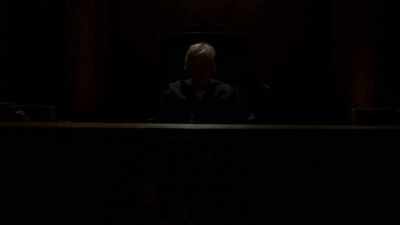 Litigants and defendants know - Gary Busey: Pet Judge