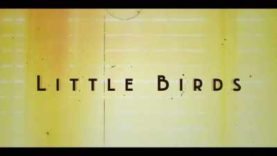 ♪ Little birds ♪ - Little Birds