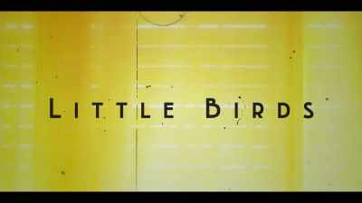 ♪ Little birds ♪ - Little Birds