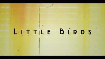 ♪ Little birds ♪ - Little Birds