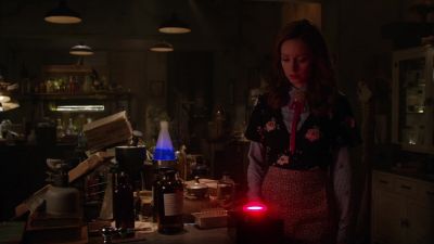 Little bit of crime
calms the mind, - The Librarians