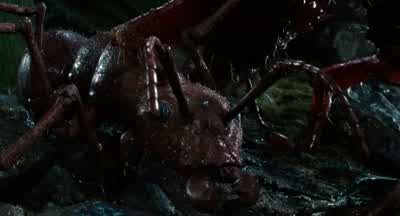 LITTLE RUSS: Let him go! - Honey, I Shrunk the Kids