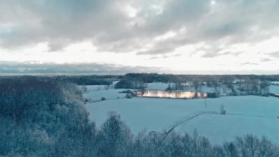Living among trees - A World of Calm