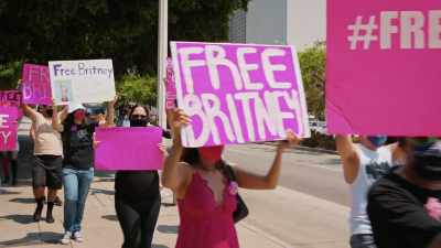 LIZ: Flaws in Britney's case
could reveal flaws - Framing Britney Spears