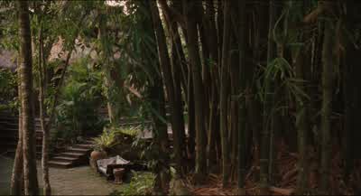 -Liz. -What? - Eat Pray Love