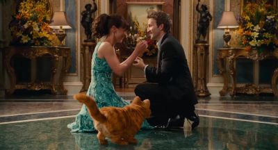 Liz will you marry me - Garfield: A Tail of Two Kitties
