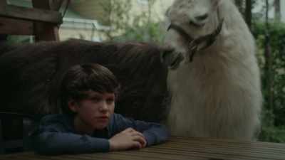 [llama hums] - The Dangerous Book for Boys