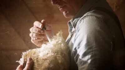 Lloyd is able to keep Mike
the headless chicken alive - The UnBelievable with Dan Aykroyd