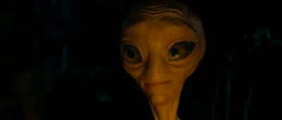 I'm hungry We should cook up some sausagesDo we have any sausages UhWhat do you mean by that NoWhy do you guys hate me Can we cook up some sausagesOoh I have wasps in my brainShe'll be fine That happened to me the first time - Paul