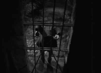 [Lntense instrumental music] - Werewolf of London