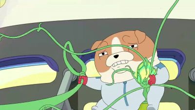 Loaf! Catch! - Dogs in Space