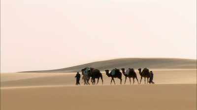 - Local Bedouin
tribes tell the team - The UnBelievable with Dan Aykroyd