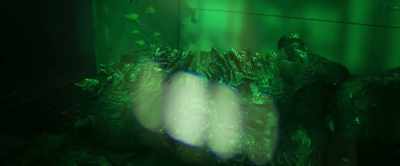 (Lock grunts) (bones thuds) - Alien Planet