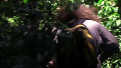 Locke! Locke! - Lost