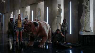 [ Lockjaw growls ] - Marvel's Inhumans