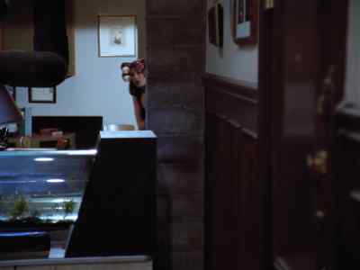 Lois? - Lois & Clark: The New Adventures of Superman