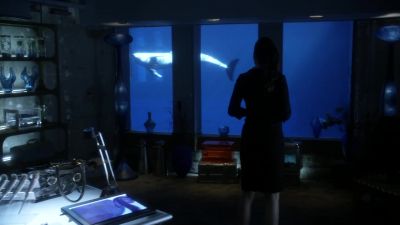Lois? What are you doing here? - Smallville
