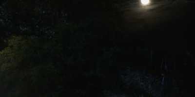 LOJACK REP:
Ma'am, I'm sending the location - Walker