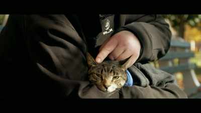 Loki beat you, Loki
beat you, eh, buddy boy, - Cat Daddies