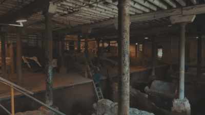 Long forgotten fermenting vats - Neat: The Story of Bourbon