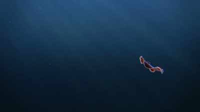 Long, long ago, some
600 million years ago, - Cosmos: Possible Worlds