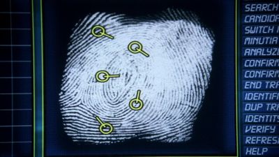 Long red hairs. - CSI: Crime Scene Investigation