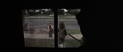 Lonnie Elamb said never to go up there. - Halloween