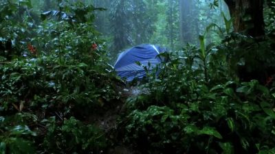 Look-- a tent. - Hawaii Five-0