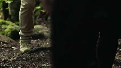 Look again, she is still there." - The Disappearance of Maura Murray