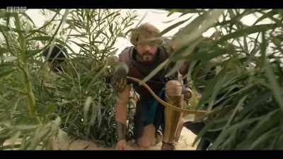 Look for any weakness. - Troy: Fall of a City