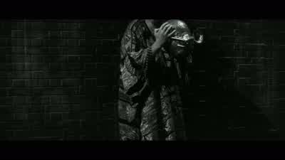 Look at all these beautiful animals! - The Elephant Man