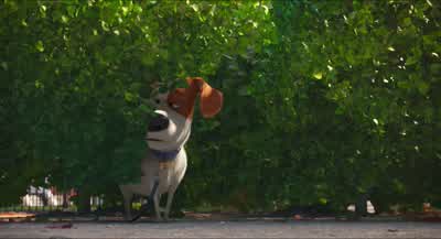 Look at all these sticks! - The Secret Life of Pets