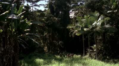 Look at 'em all. - The Pacific