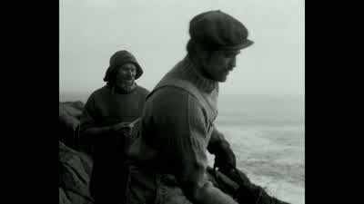 Look at 'em. - The Lighthouse